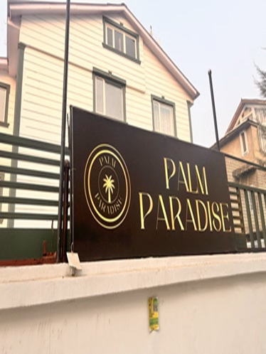 Palm paradise